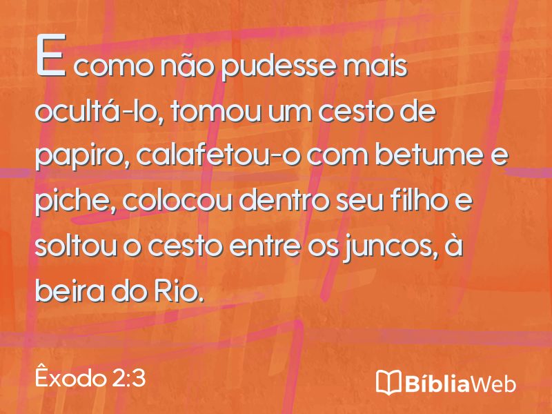 Êxodo 2:3 em imagem para compartilhar