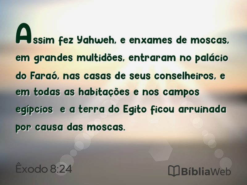 Êxodo 8:24 em imagem para compartilhar