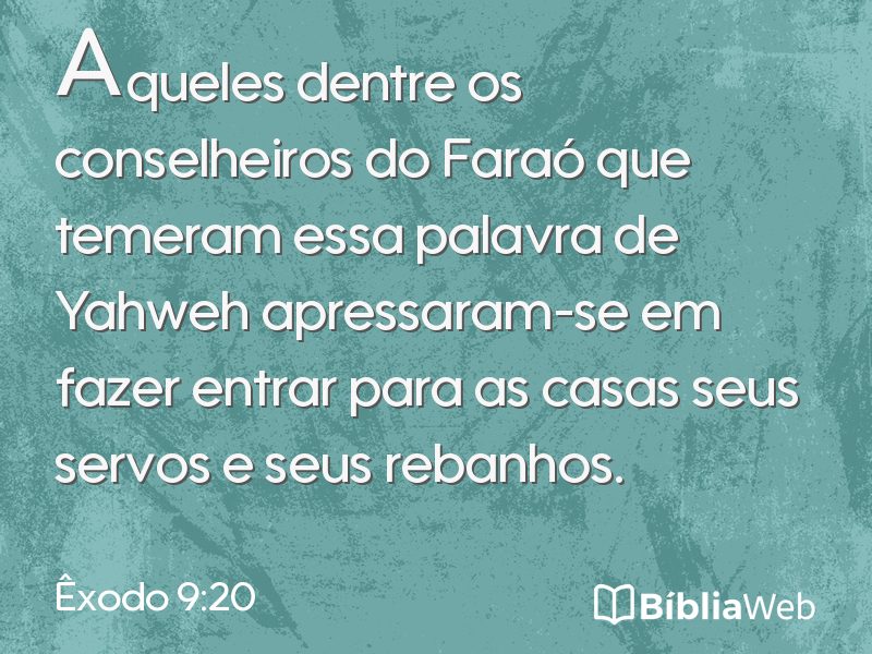 Êxodo 9:20 em imagem para compartilhar