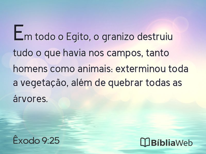 Êxodo 9:25 em imagem para compartilhar