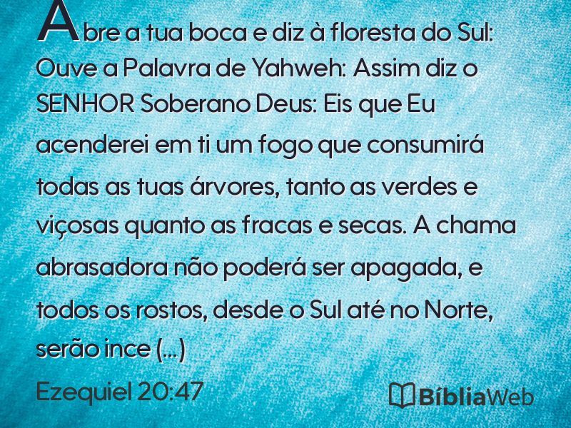 Ezequiel 20:47 em imagem para compartilhar