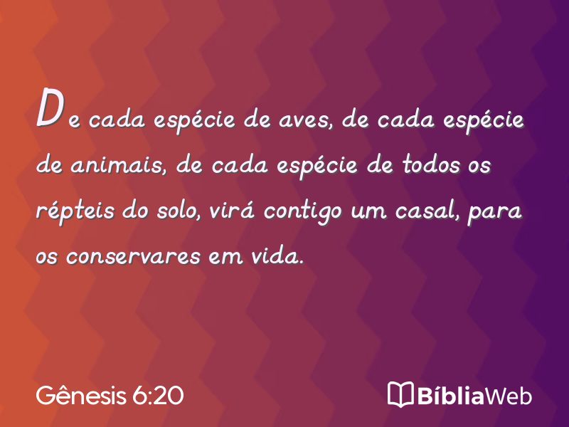 Gênesis 6:20 em imagem para compartilhar