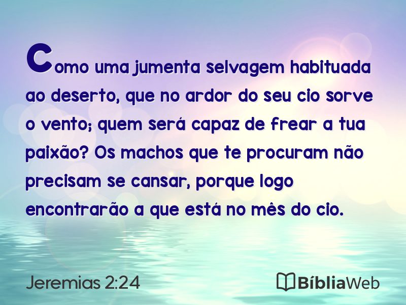 Jeremias 2:24 em imagem para compartilhar