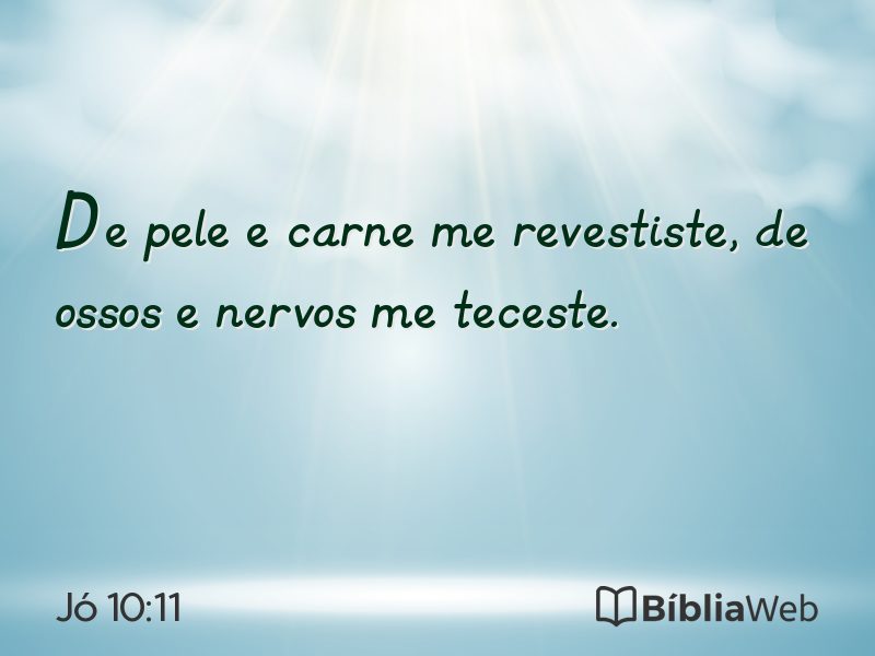 Jó 10:11 em imagem para compartilhar