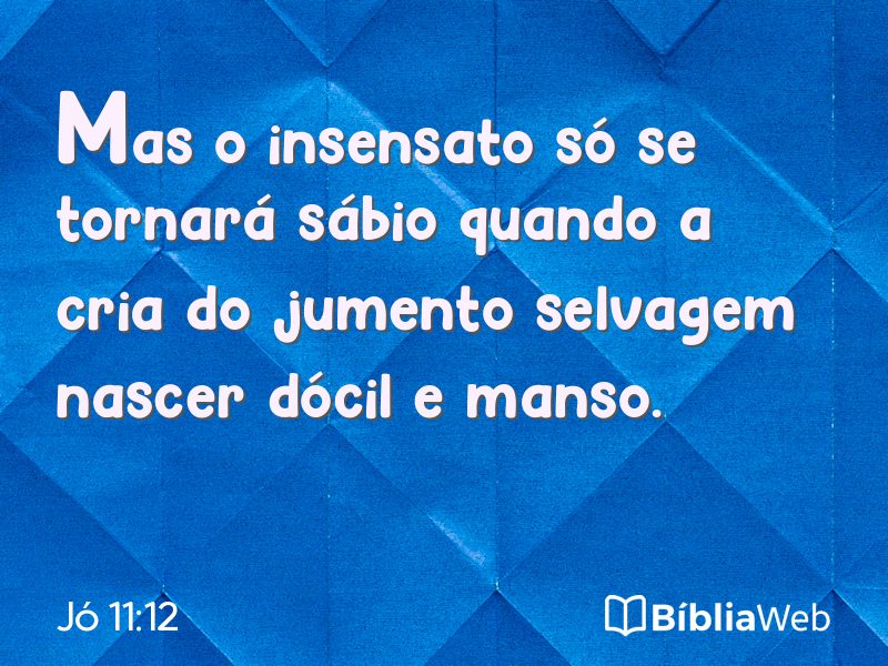 Jó 11:12 em imagem para compartilhar