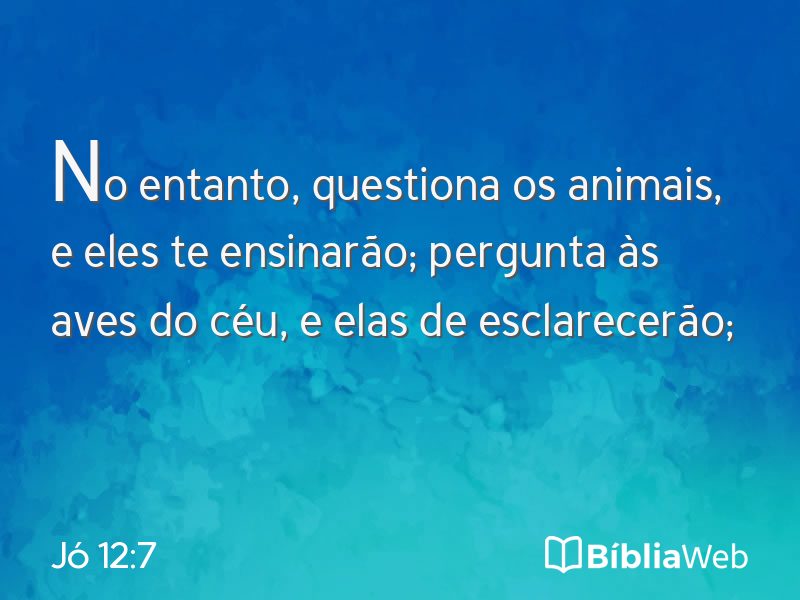 Jó 12:7 em imagem para compartilhar