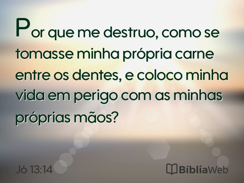 Jó 13:14 em imagem para compartilhar