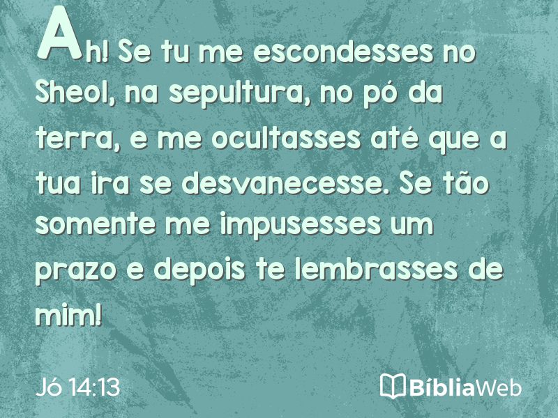 Jó 14:13 em imagem para compartilhar