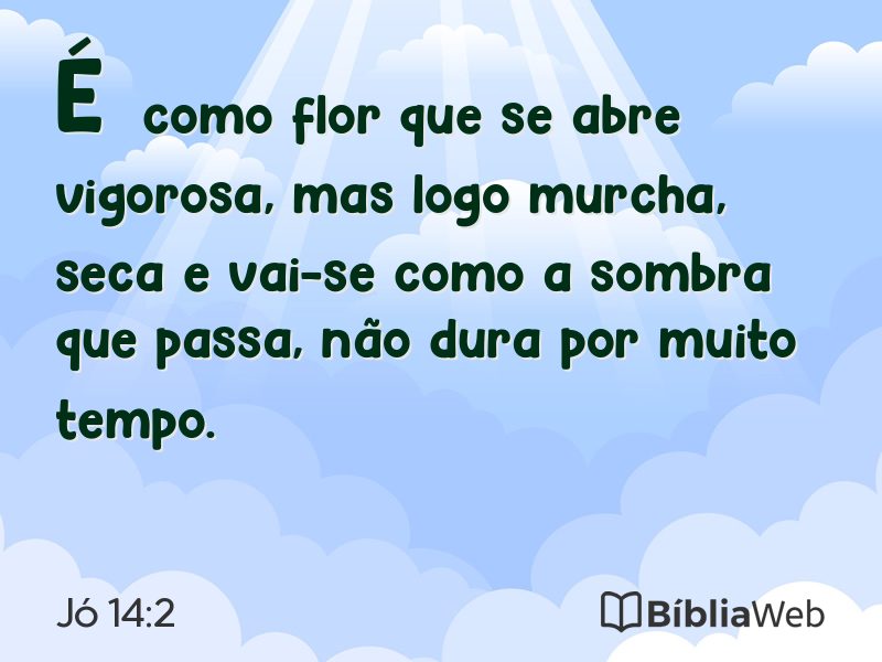 Jó 14:2 em imagem para compartilhar