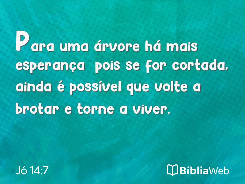 Jó 14:7 em imagem para compartilhar