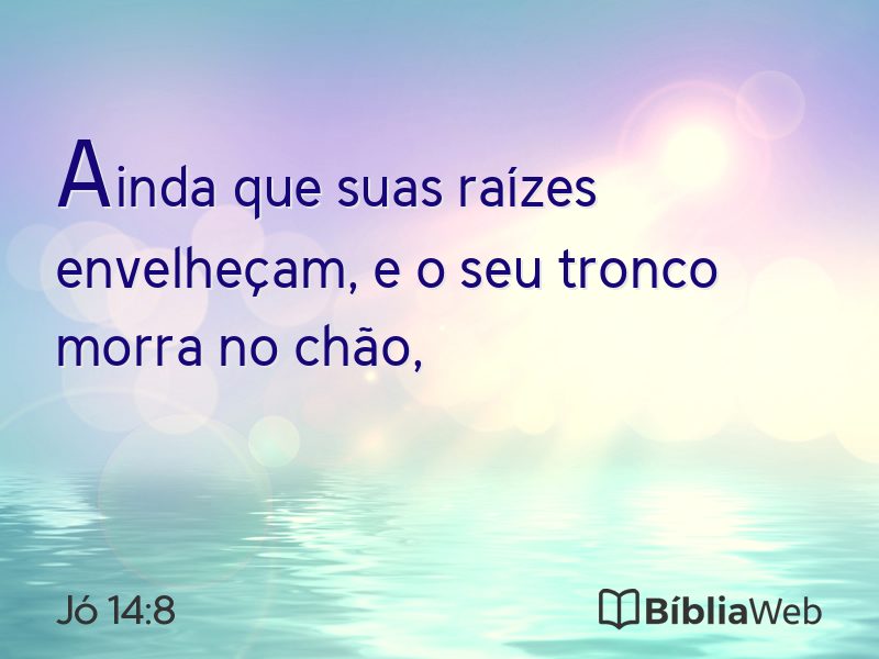 Jó 14:8 em imagem para compartilhar