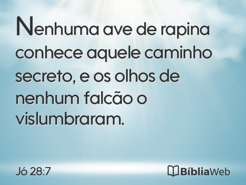 Jó 28:7 em imagem para compartilhar