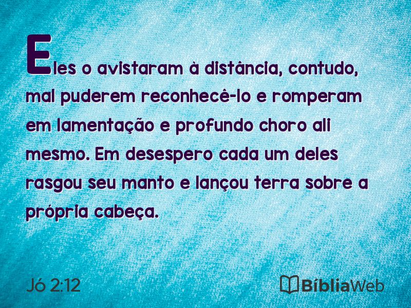 Jó 2:12 em imagem para compartilhar