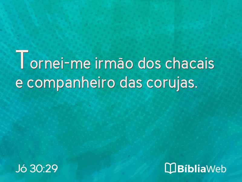 Jó 30:29 em imagem para compartilhar