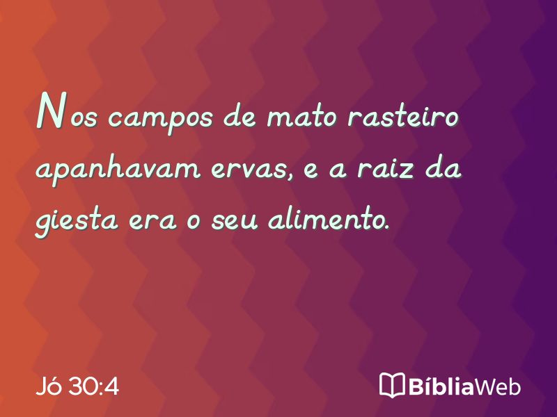 Jó 30:4 em imagem para compartilhar
