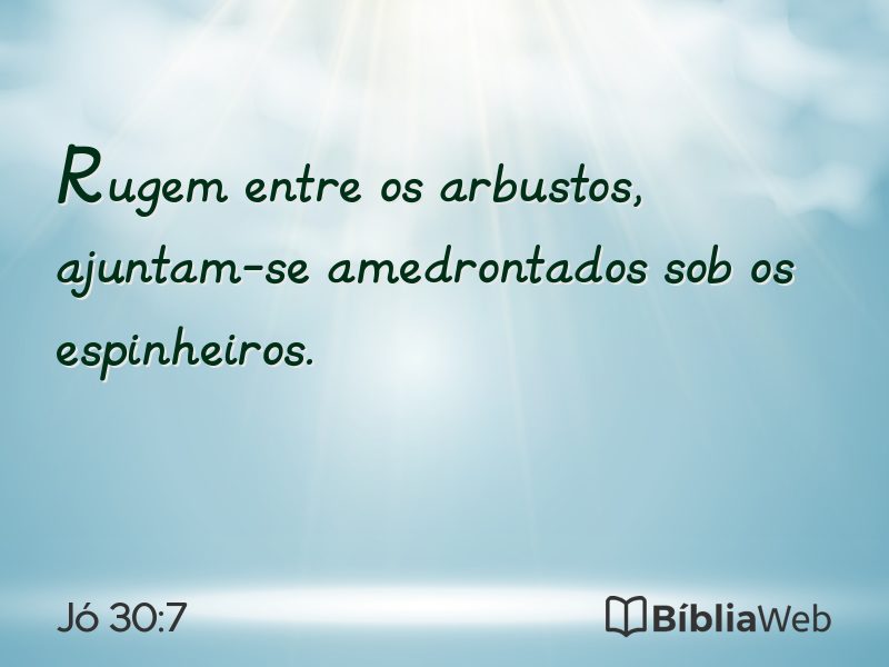 Jó 30:7 em imagem para compartilhar