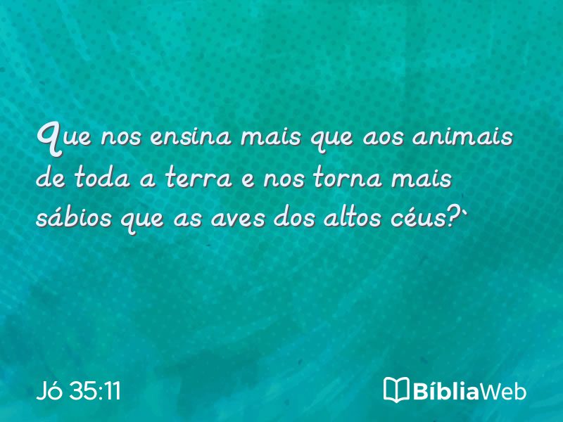 Jó 35:11 em imagem para compartilhar