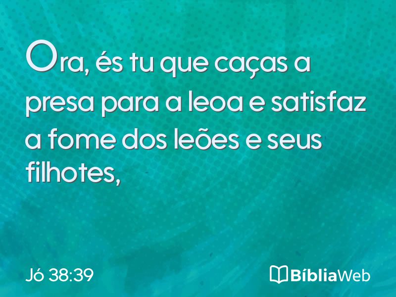 Jó 38:39 em imagem para compartilhar