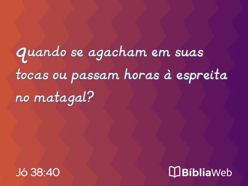 Jó 38:40 em imagem para compartilhar