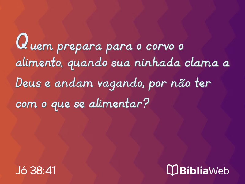 Jó 38:41 em imagem para compartilhar