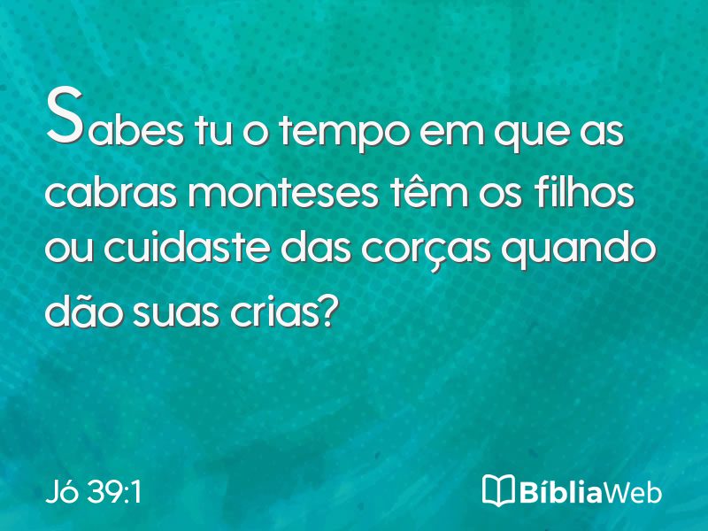 Jó 39:1 em imagem para compartilhar