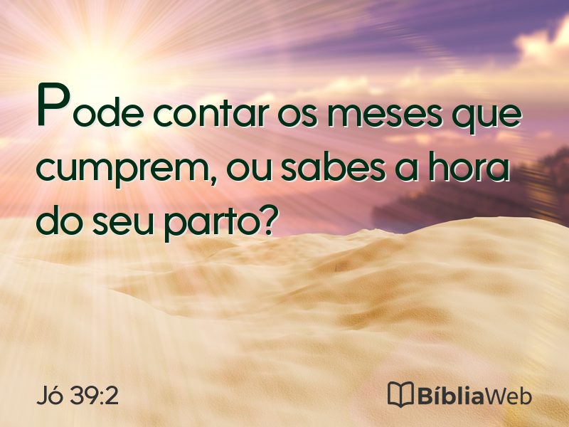 Jó 39:2 em imagem para compartilhar