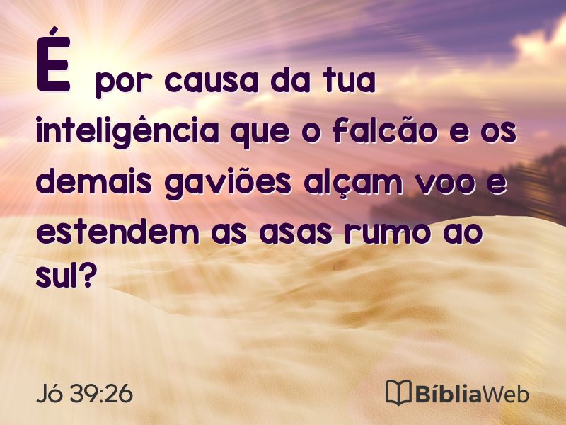 Jó 39:26 em imagem para compartilhar