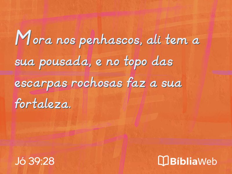 Jó 39:28 em imagem para compartilhar