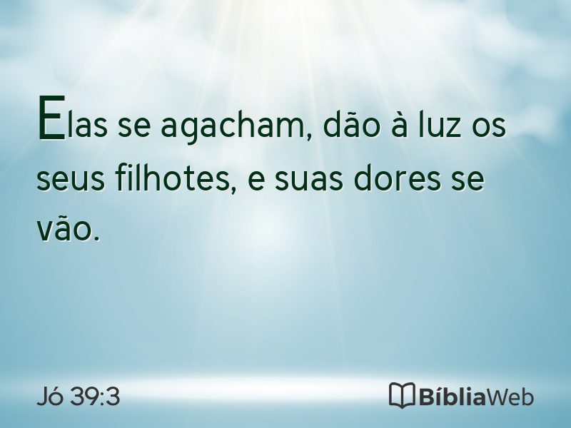 Jó 39:3 em imagem para compartilhar