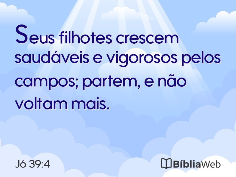 Jó 39:4 em imagem para compartilhar