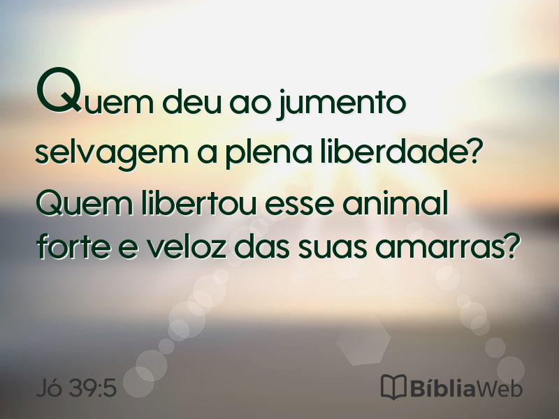 Jó 39:5 em imagem para compartilhar