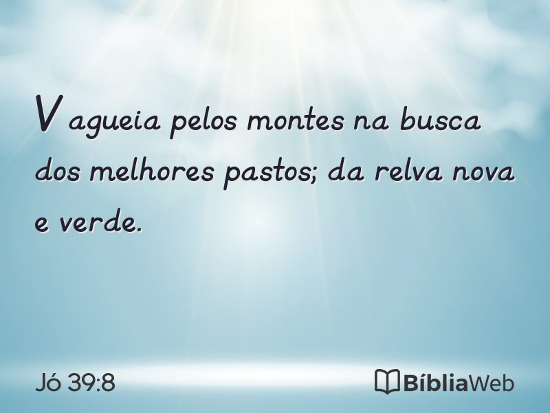 Jó 39:8 em imagem para compartilhar