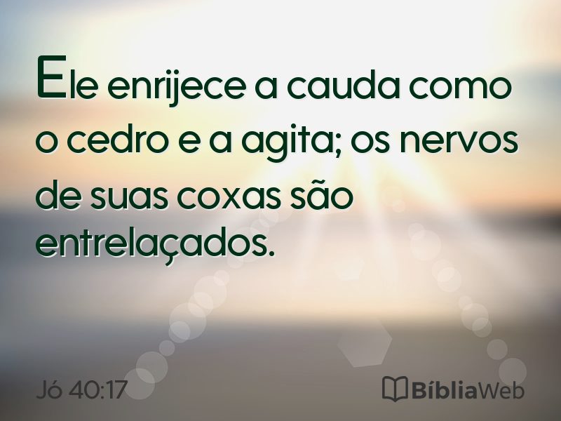 Jó 40:17 em imagem para compartilhar