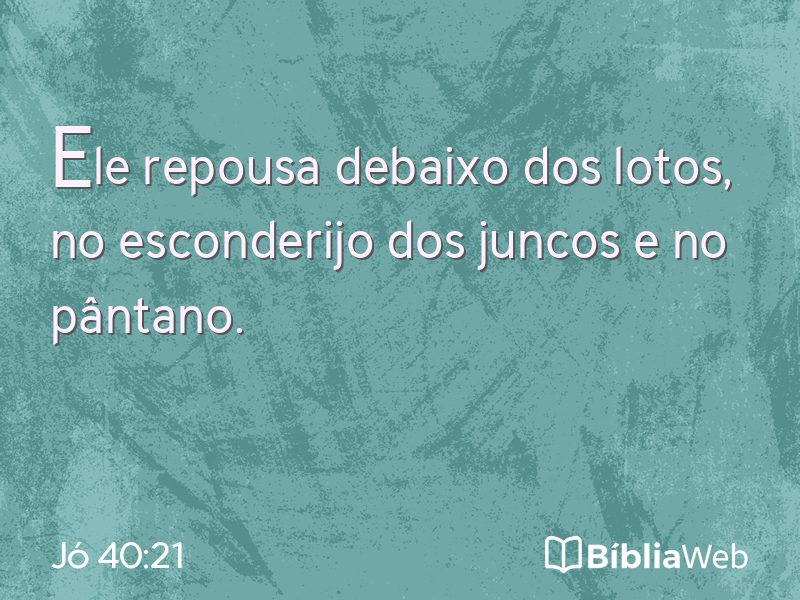Jó 40:21 em imagem para compartilhar
