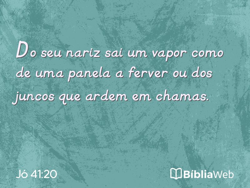 Jó 41:20 em imagem para compartilhar