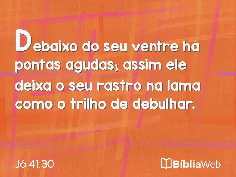 Jó 41:30 em imagem para compartilhar