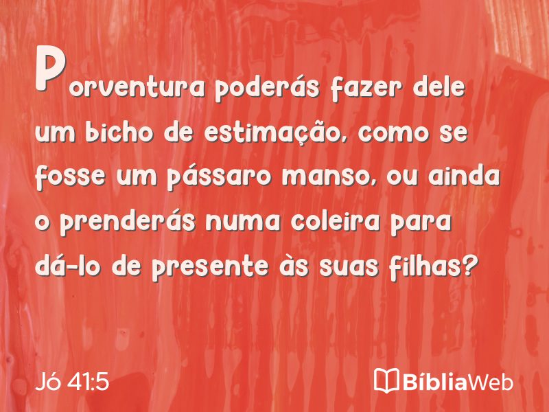 Jó 41:5 em imagem para compartilhar