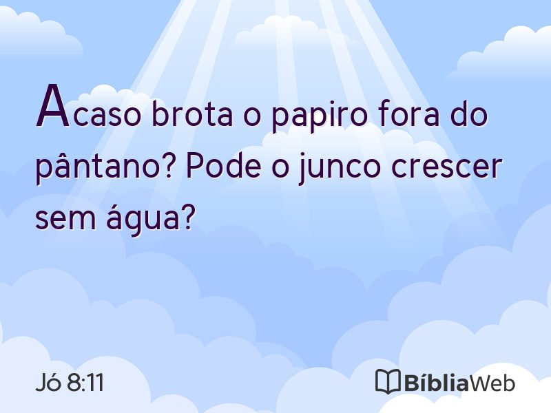 Jó 8:11 em imagem para compartilhar