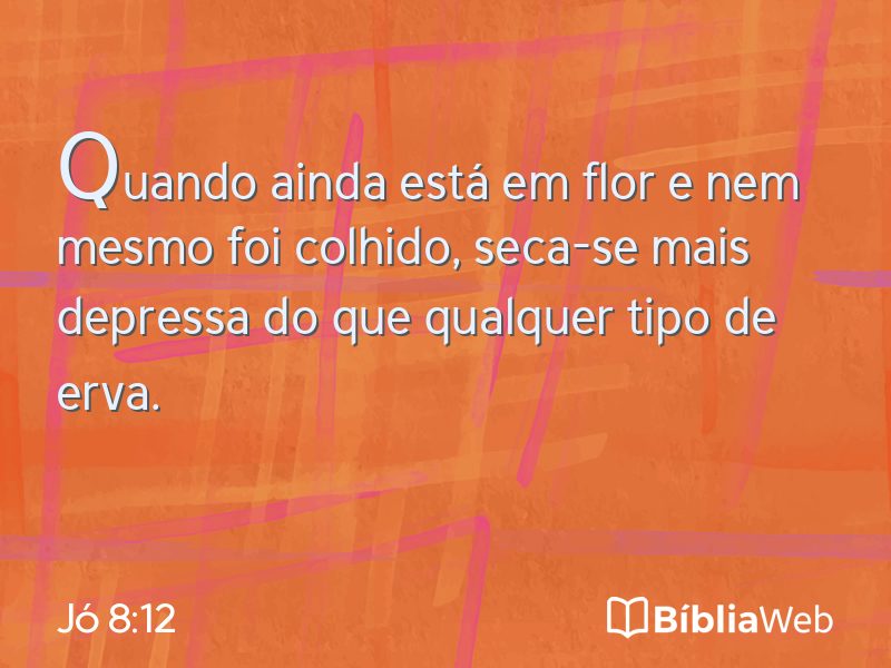 Jó 8:12 em imagem para compartilhar
