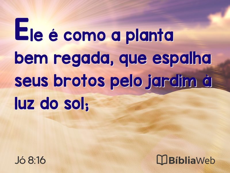 Jó 8:16 em imagem para compartilhar