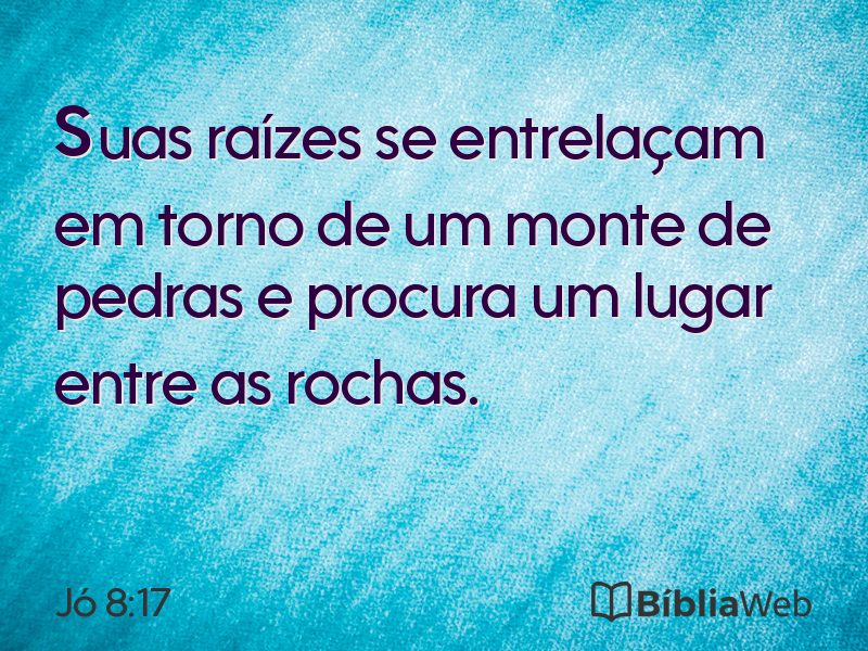 Jó 8:17 em imagem para compartilhar