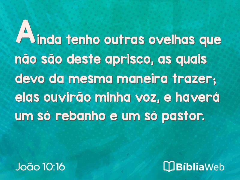 João 10:16 em imagem para compartilhar