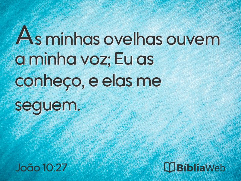 João 10:27 em imagem para compartilhar