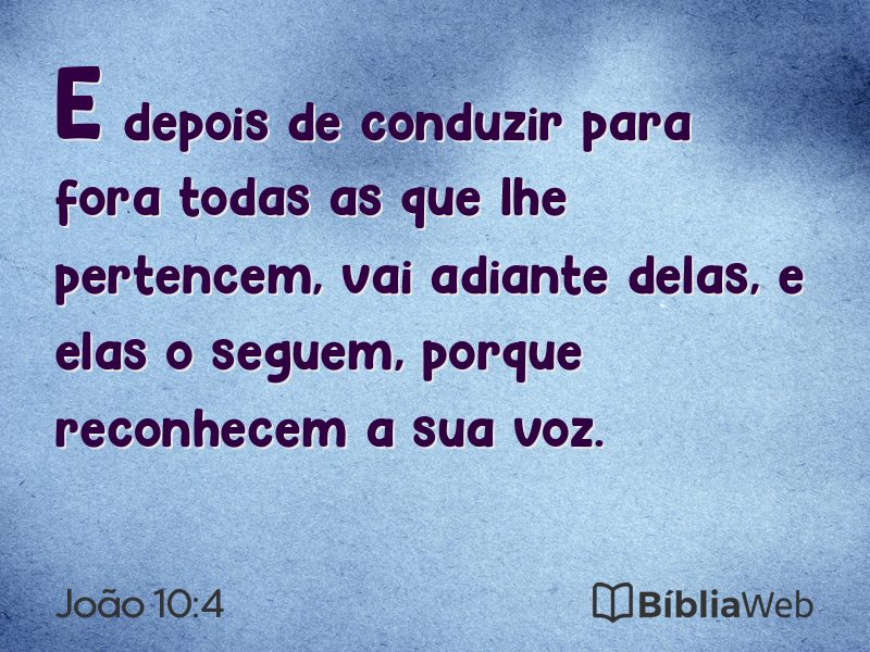 João 10:4 em imagem para compartilhar