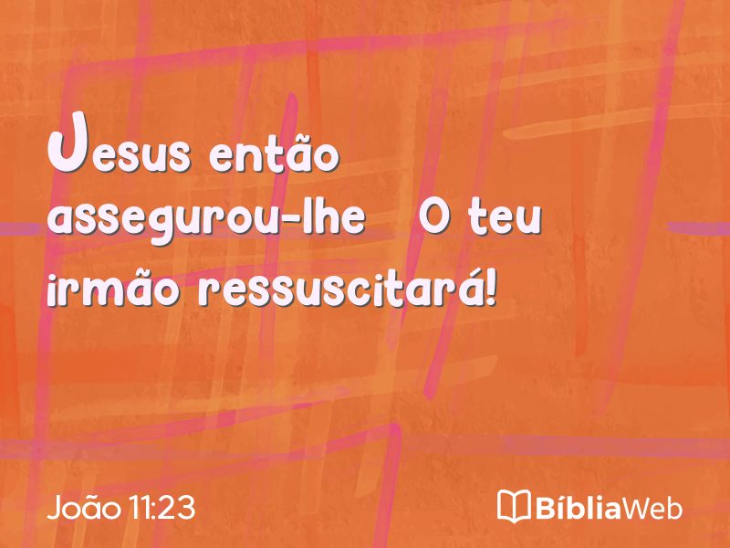 João 11:23 em imagem para compartilhar
