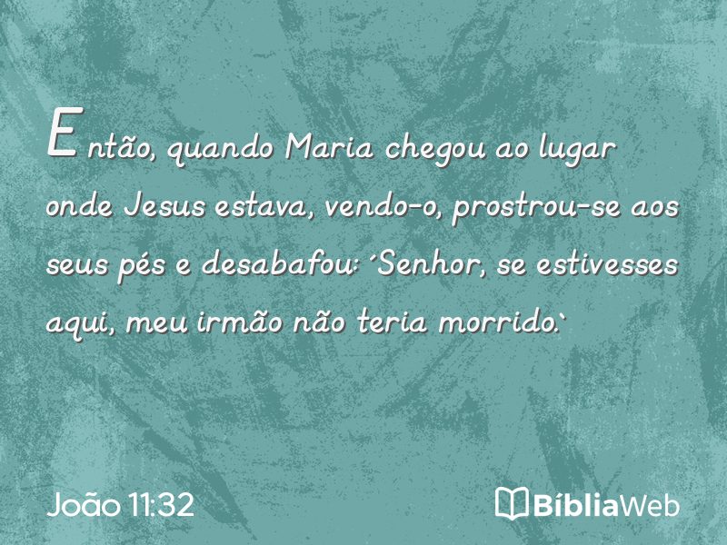 João 11:32 em imagem para compartilhar
