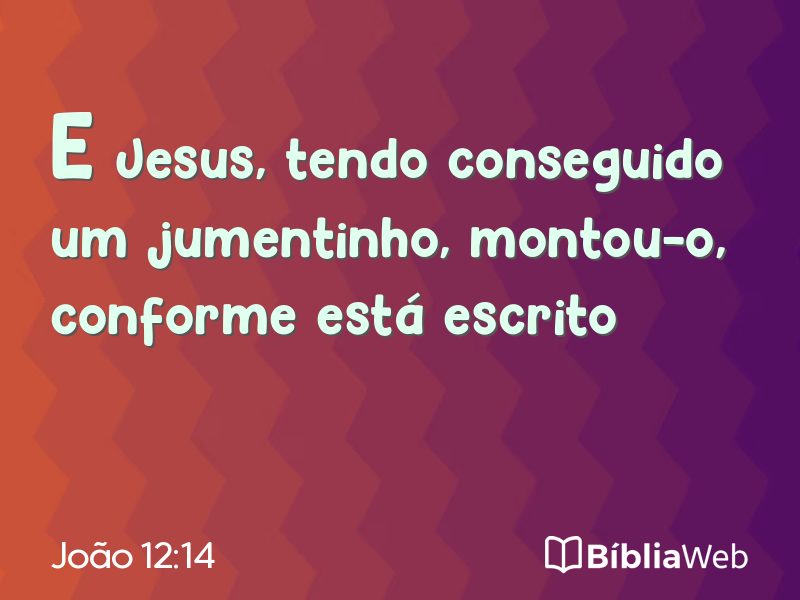 João 12:14 em imagem para compartilhar
