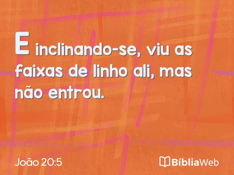 João 20:5 em imagem para compartilhar