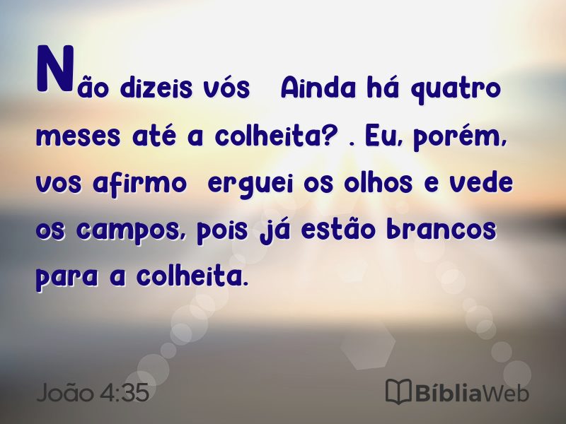 João 4:35 em imagem para compartilhar