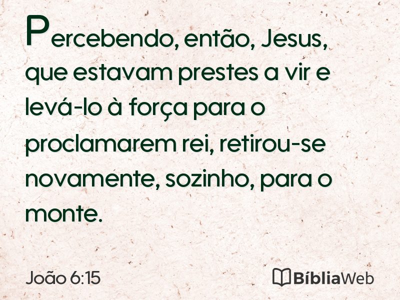 João 6:15 em imagem para compartilhar